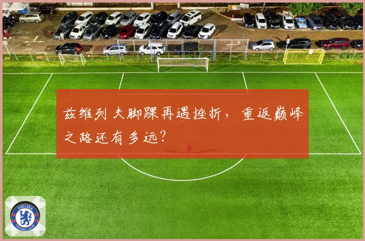 兹维列夫脚踝再遇挫折,重返巅峰之路还有多远?