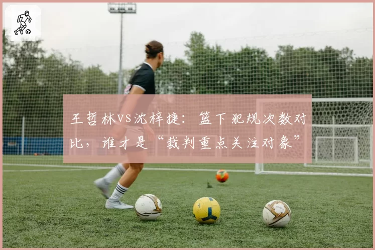 王哲林vs沈梓捷:篮下犯规次数对比,谁才是“裁判重点关注对象”