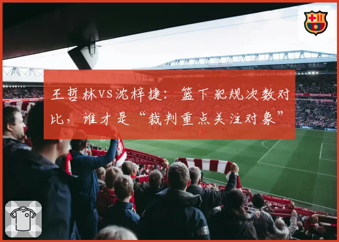 王哲林vs沈梓捷:篮下犯规次数对比,谁才是“裁判重点关注对象”