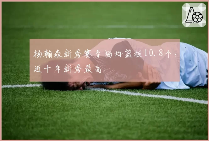 杨瀚森新秀赛季场均篮板10.8个,近十年新秀最高