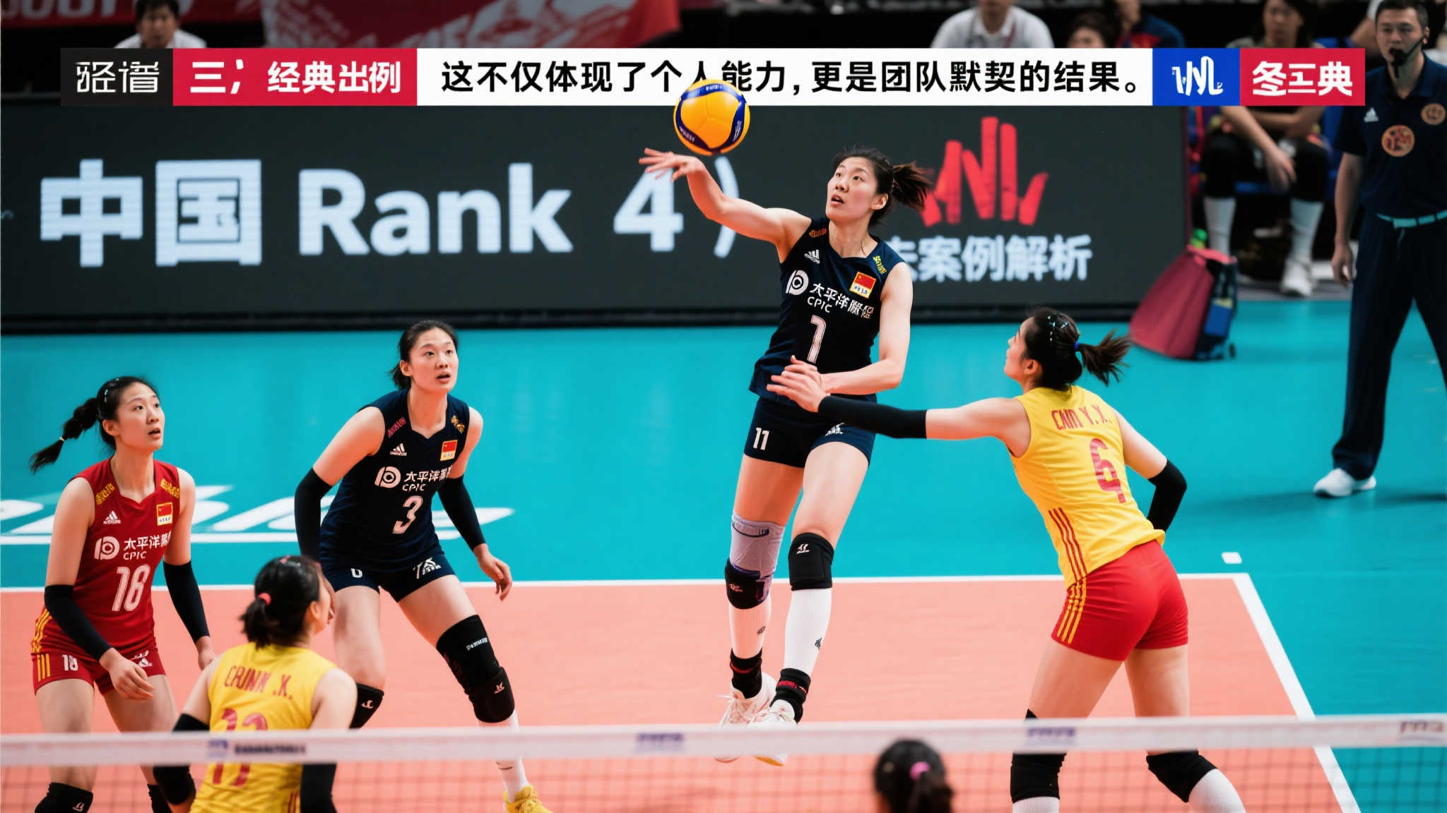 的政策改革 的政策改革