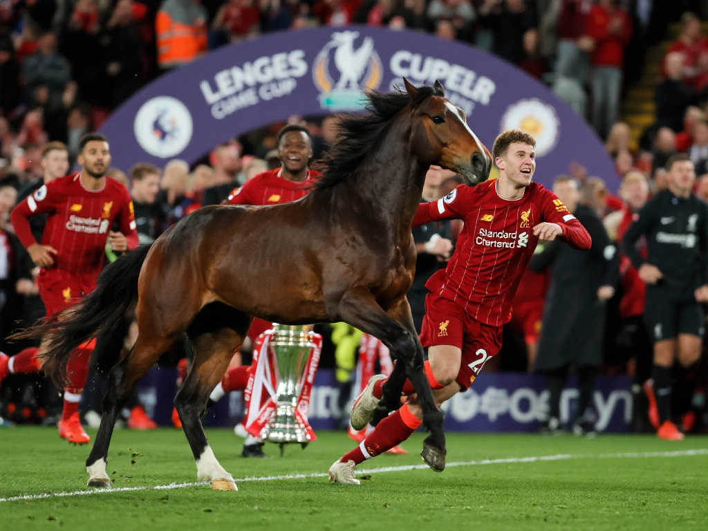 观众还可以 观众还可以